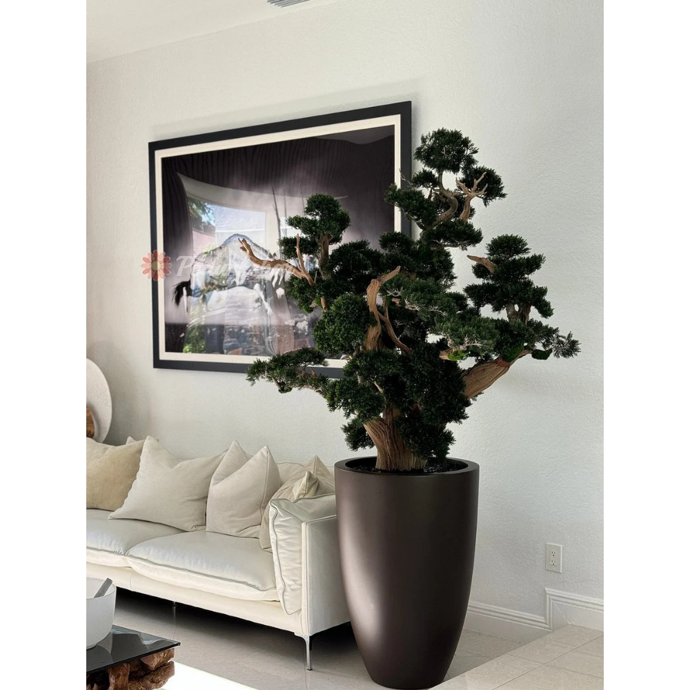 Oversized Bonsai in Matte Brown Brannan Planter
