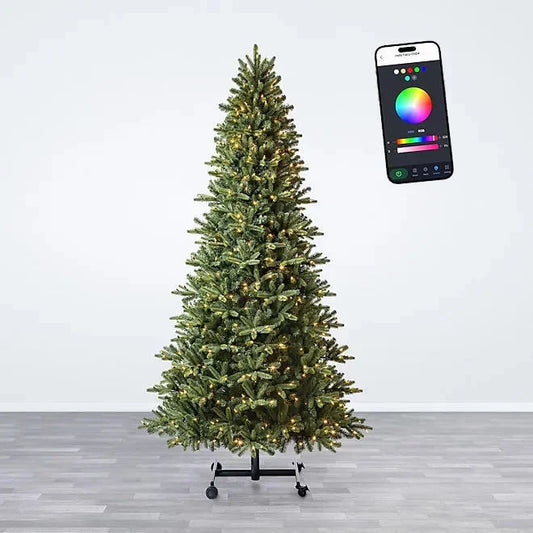 Lumina Fir