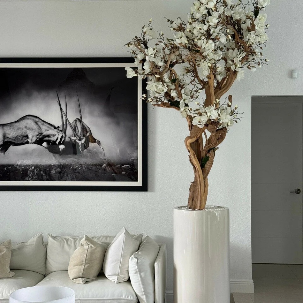 White Magnolia Tree in Glossy Beige Planter
