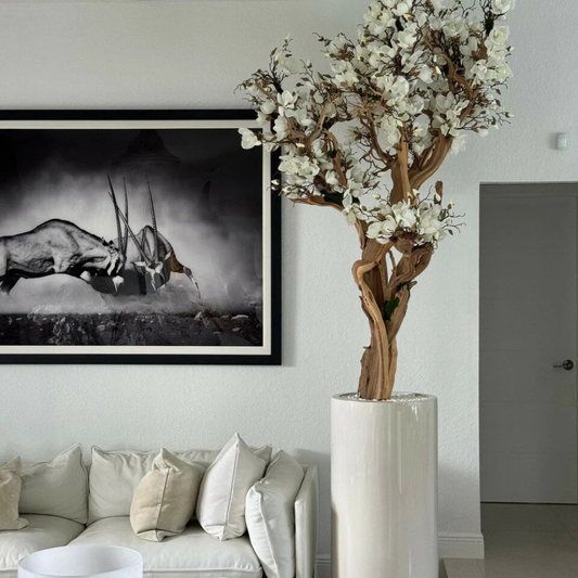 White Magnolia Tree in Glossy Beige Planter