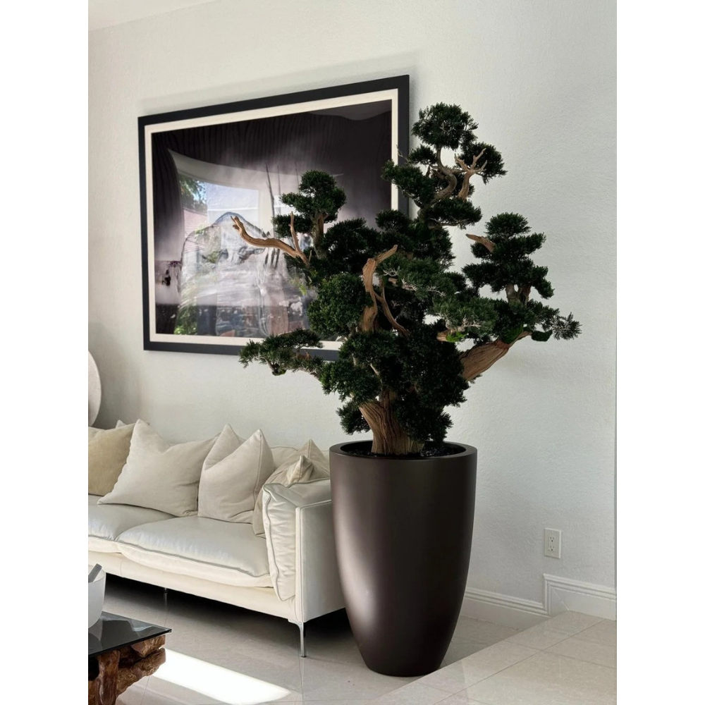 Oversized Bonsai in Matte Brown Brannan Planter