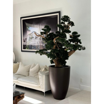Oversized Bonsai in Matte Brown Brannan Planter