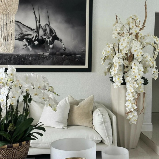 Cascading White Orchids in Sand Beige San Jose Planter