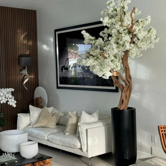 White Cherry Blossom Tree in Matte Black Planter