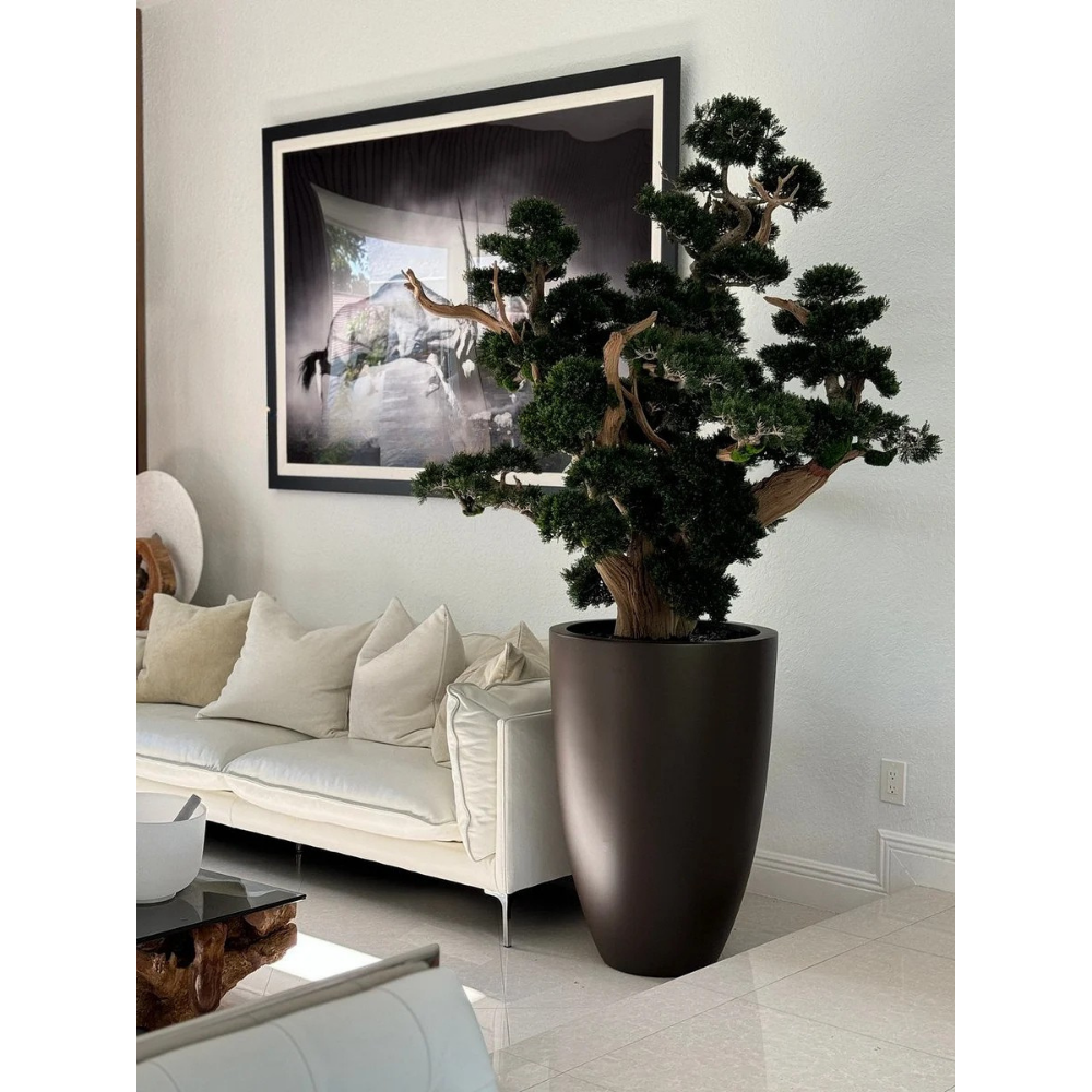 Oversized Bonsai in Matte Brown Brannan Planter