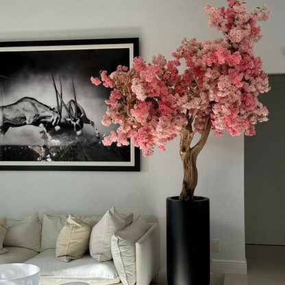 Pink Cherry Blossom Tree in Matte Black Planter