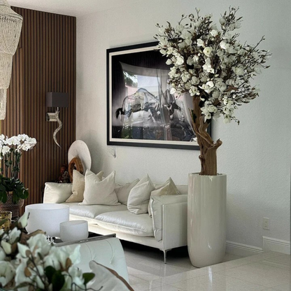 White Magnolia Tree in Glossy Beige St. Tropez Planter