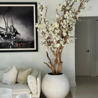 White Magnolia Tree in Glossy Globe Planter