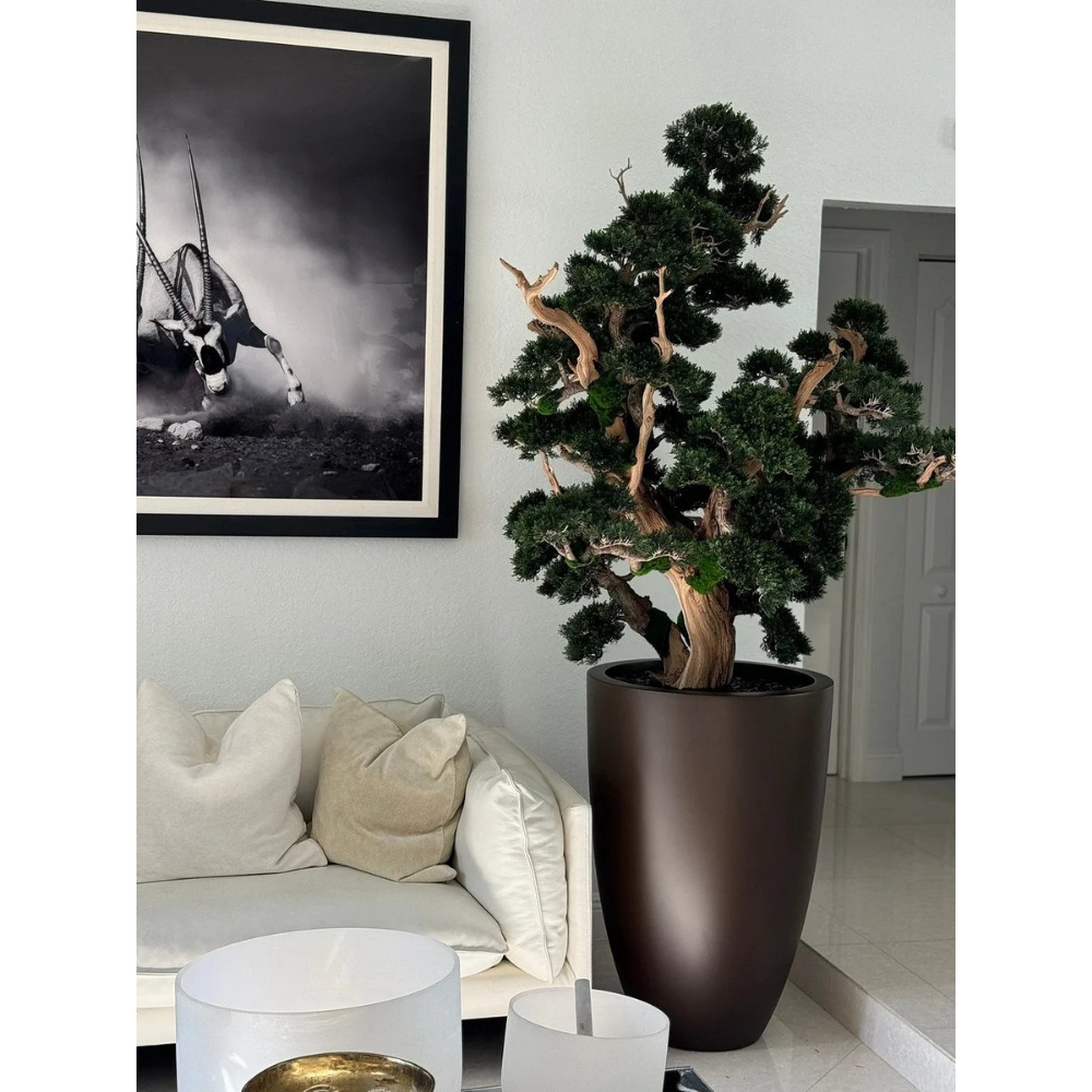 Oversized Bonsai in Matte Brown Brannan Planter