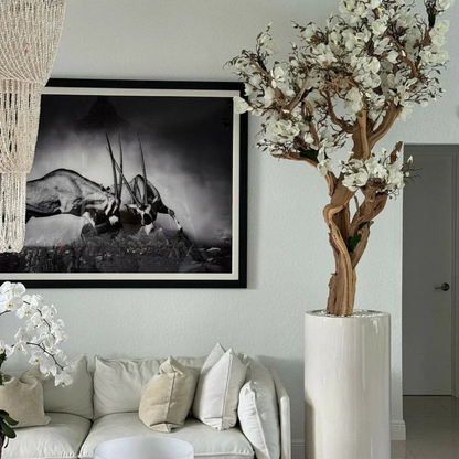 White Magnolia Tree in Glossy Beige Planter