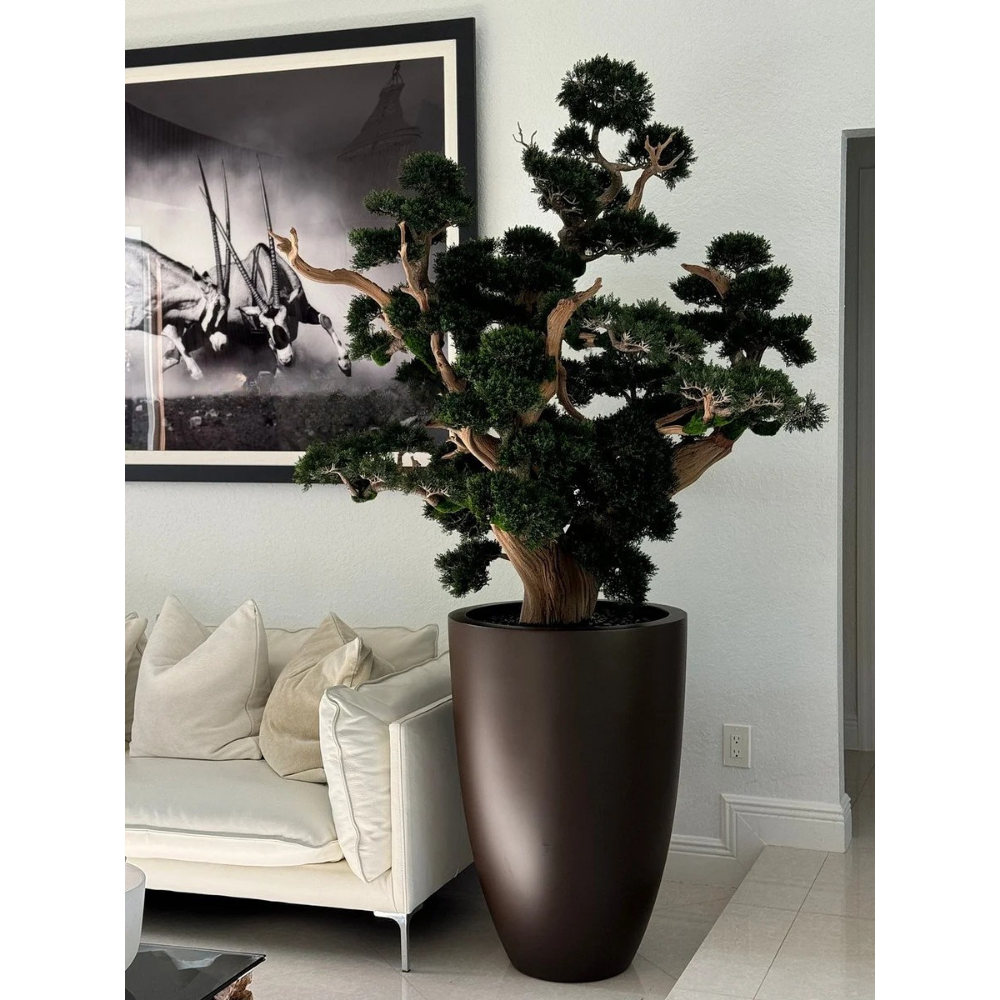 Oversized Bonsai in Matte Brown Brannan Planter