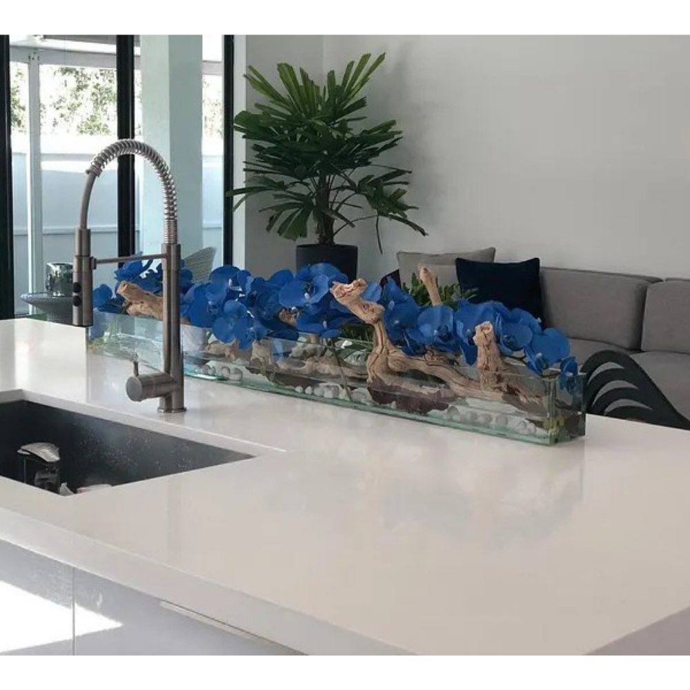 Blue Phalaenopsis Orchids in Casa Moderna Glass Plate