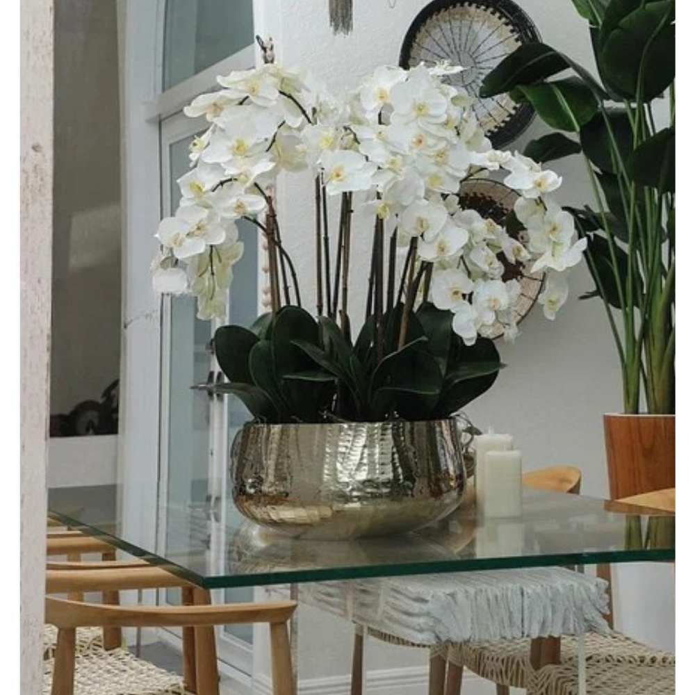 White Phalaenopsis Orchids in Large Gold Planter
