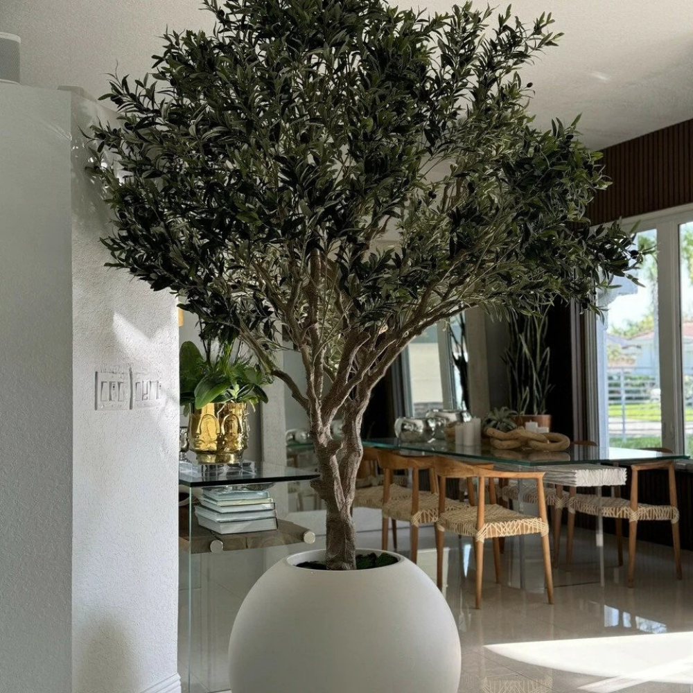Olive Tree in Matte Beige Globe Planter