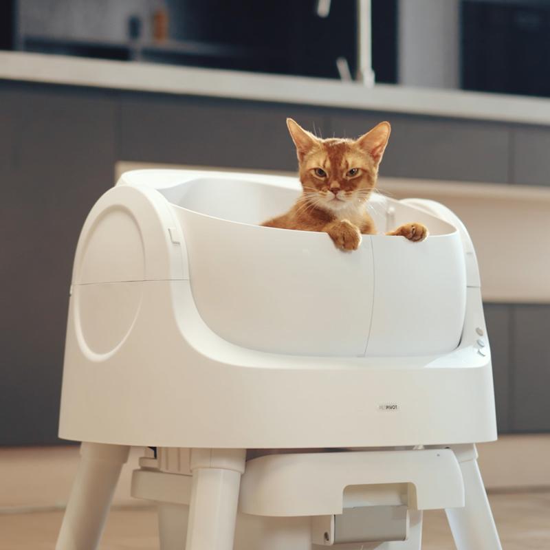 Autoscooper 11 Open-Top Self-Cleaning Cat Litter Box，Odor-Free Waste Disposal includes Trash Bags