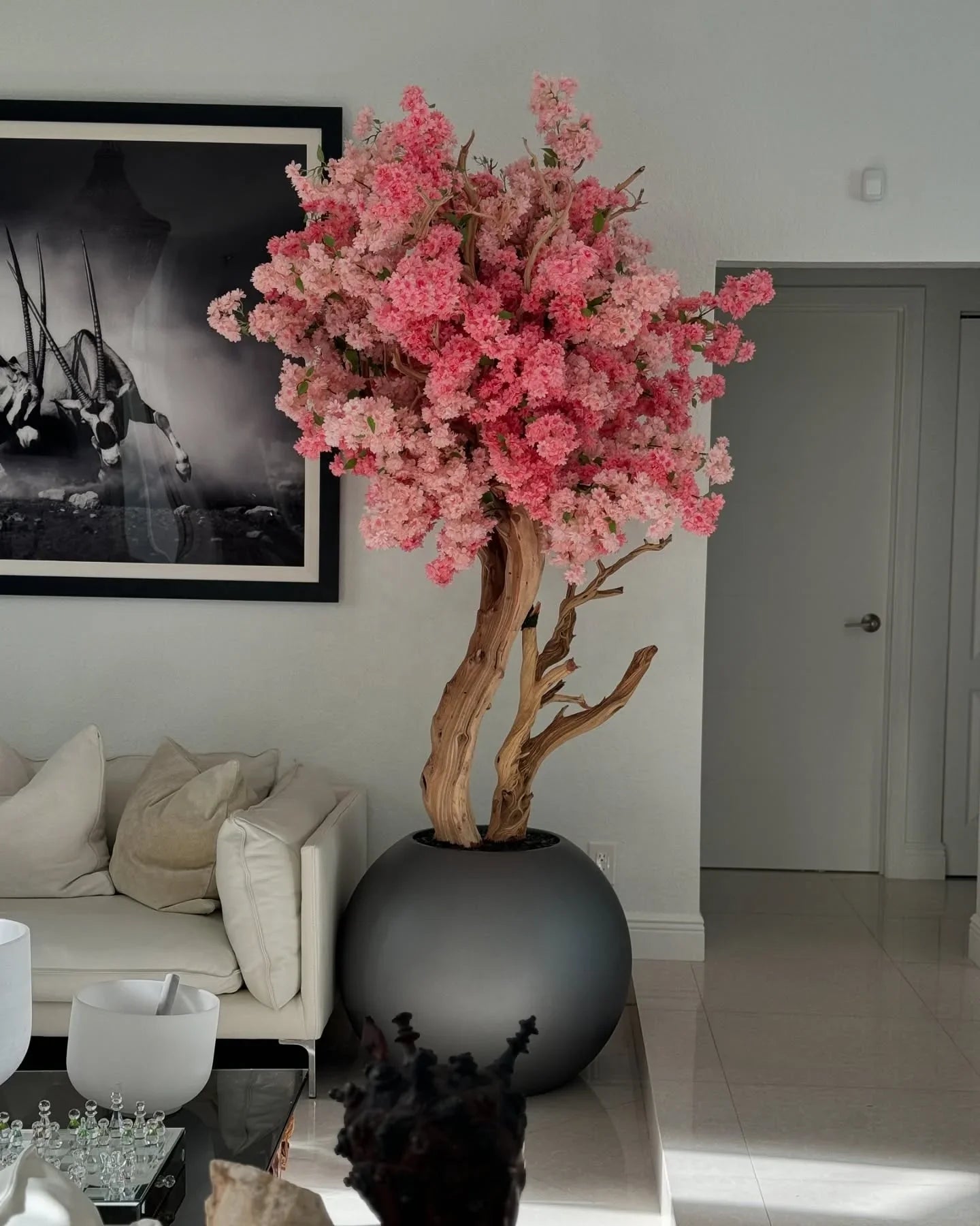 Matte Globe Cherry Blossom Tree
