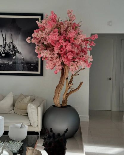 Matte Globe Cherry Blossom Tree
